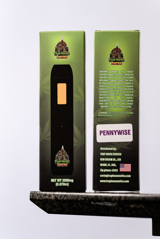 All in one 2000mg disposable Delta-8 vape- Pennywise (Indica)